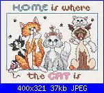 Gatti: "Home is where the cat is" e "A cat for all season"-home-where-cat-jpg