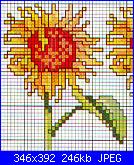 Schemi piccoli fiori-schema-punto-croce-girasole%5B1%5D-jpg