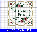 Schemi da "Victoria Samplers"-christmas_rose1-jpg