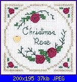 Schemi da "Victoria Samplers"-christmas_rose-jpg
