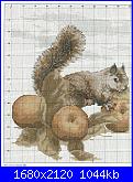 cerco schemi cross stitch collection 2005 e 2006-3-jpg