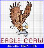 Eagle (aquila)-aquila2-jpg