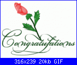 Le moderatrici della sezione: a chi rivolgersi-congratulazioni-1-gif