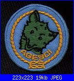 schemi scout-lupoprom-jpg