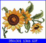 Schemi per Tende-girasoli2a-gif