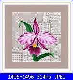 Cerco schema fiore iris-101613-12638881-jpg