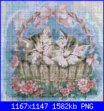 Schemi vari2-gatos-en-cesta-png