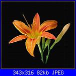 Tela Aida nera-tsaritsa_liliy-jpg