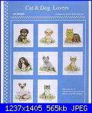 Gatto persiano-cat-jpg