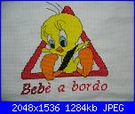 Bordo o non bordo?-p1050547-jpg