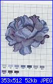 Rose Blu-rosa-blu-singola-jpg