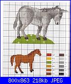 ASINO: una sfida per voi!-zoo-27-jpg
