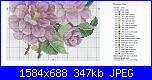 bouquet-peonie-scat1b-jpg