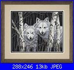 schema con i lupi KK 99537-Howling at the moon-35035-white-magic-jpg