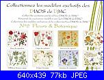 fiori di gelsomino-dmc-14561-les-duos-fleurs-botanique-jpg