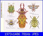 insetti-f702d8a38f11-jpg