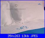 iniziali sulle federe: un consiglio-le2p0001zoo-jpg