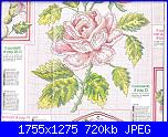 schema paravento - La rivista "Susanna - 2003"-paravento-rose-jpg