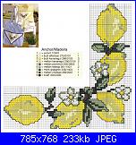 cerco schemi limoni-am_91704_1407844_553579-jpg