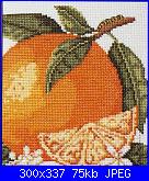 quadretti con Frutta con migliore risoluzione-arancia-jpg