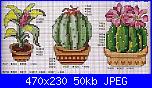 foglie e piante grasse-cactus-3-jpg