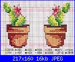 foglie e piante grasse-cactus-6-jpg