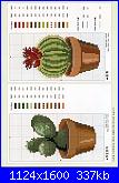 foglie e piante grasse-cactus-7-jpg