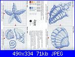 Richiesta schema per quadretto a tema "marinaro"-9conchiglie-stella-marina-jpg