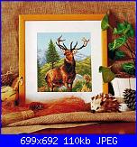 Cerco schema cervo-cervo-jpg