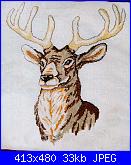 Cerco schema cervo-038_animal_middle-jpg