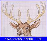 Cerco schema cervo-038_animal_shema_1-jpg