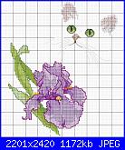 Cerco legenda colori iris-iris-con-gatto-jpg