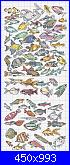 ancora schemi-_445___one_nighters___69_tropical_fish-jpg