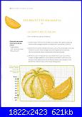 Cerco schema Melone-43_-jpg