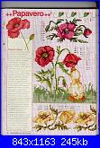 Avete schemi di papaveri e girasoli?-47889359-jpg