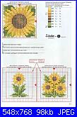 Avete schemi di papaveri e girasoli?-1-jpg