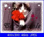 Richieste Titti (discussioni riunite)-1103035421seispeciale-jpg