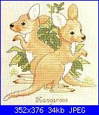 canguro-book-88-34-jpg