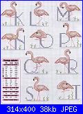 cerco schema fenicotteri-flamingos_-2-jpg