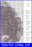 Cerco schema dmc e Riolis-2-gif