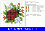 schema coccinella-coccinella-col-gif