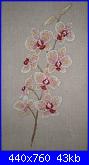 Cerco schema orchidee DMC-XC0821 Orchid-648156448698618081fac94a6c6e3de3e0bd899-jpg