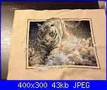 cerco schema lupi e tigre-e-jpg