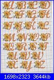 cercasi alfabeto con girasole-digitalizar012-jpg