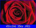 schemi fiori grandi-redrose-xstitch-pattern-preview-jpg