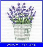 Schema lavanda?-sp340-jpg