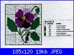 schema fiore viola leggibile-1e24964a19a140410812348245369856-jpg