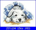 cerco questi schemi-235485-ff644-46463503-m750x740-u172e9%5B1%5D-jpg