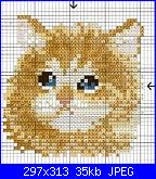 cerco musetto di gatto monocolore...-654769360986b8fb9ee5168a829276f0-jpg