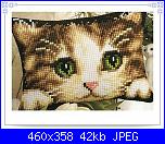 cerco musetto di gatto monocolore...-800874ae20399a13567ec162ee306b61-jpg